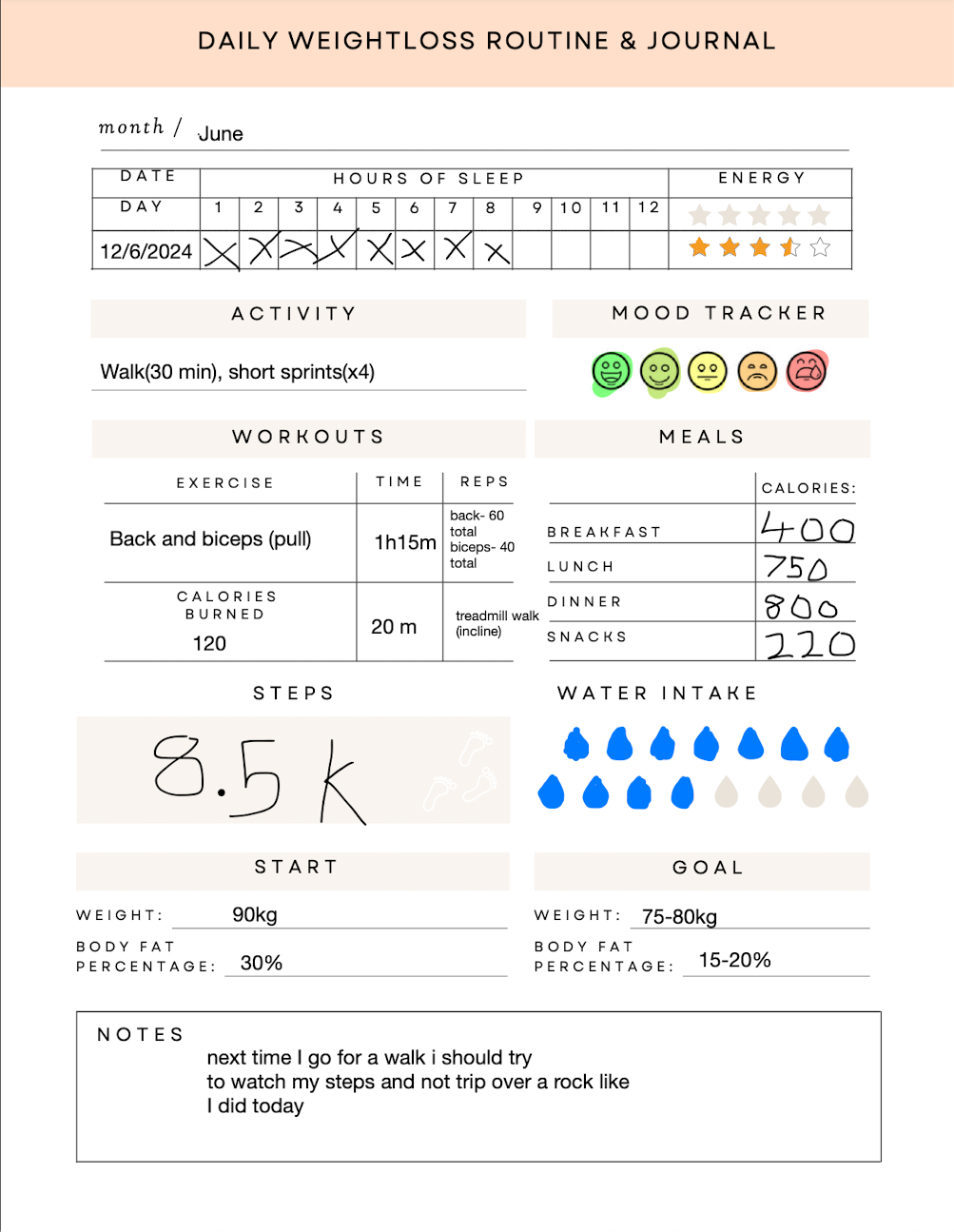 Shape Shift Weight loss Journal